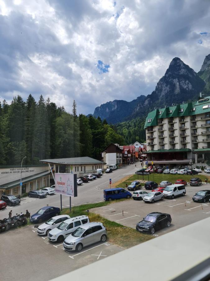 Apartamentul Alb Busteni