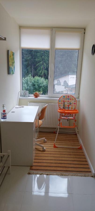 Apartamentul Alb Apartment Busteni