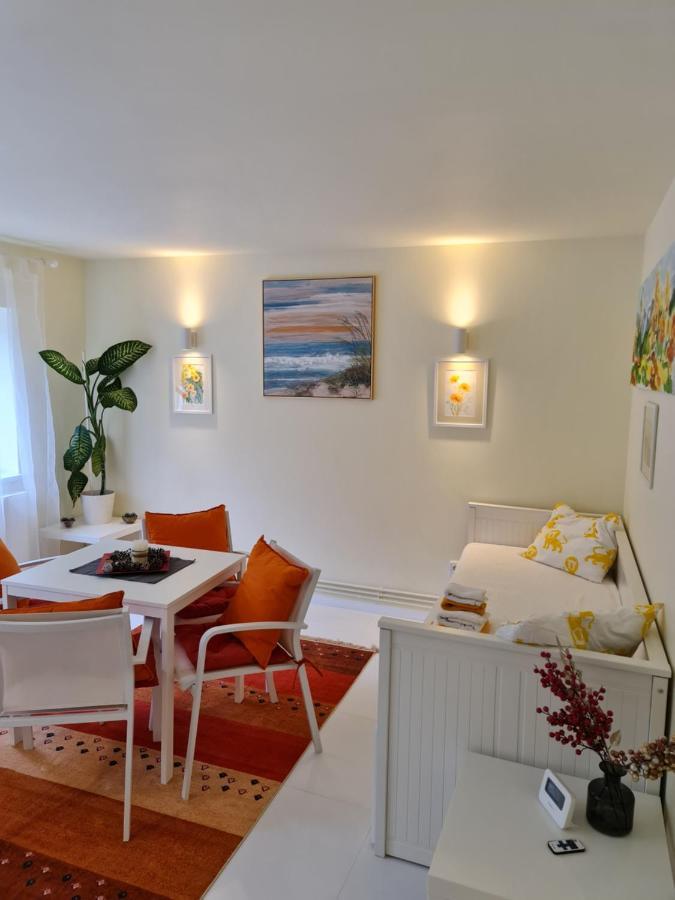 Apartment Apartamentul Alb *