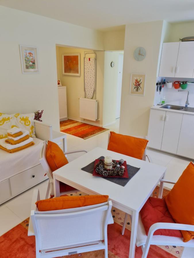 Apartment Apartamentul Alb Busteni