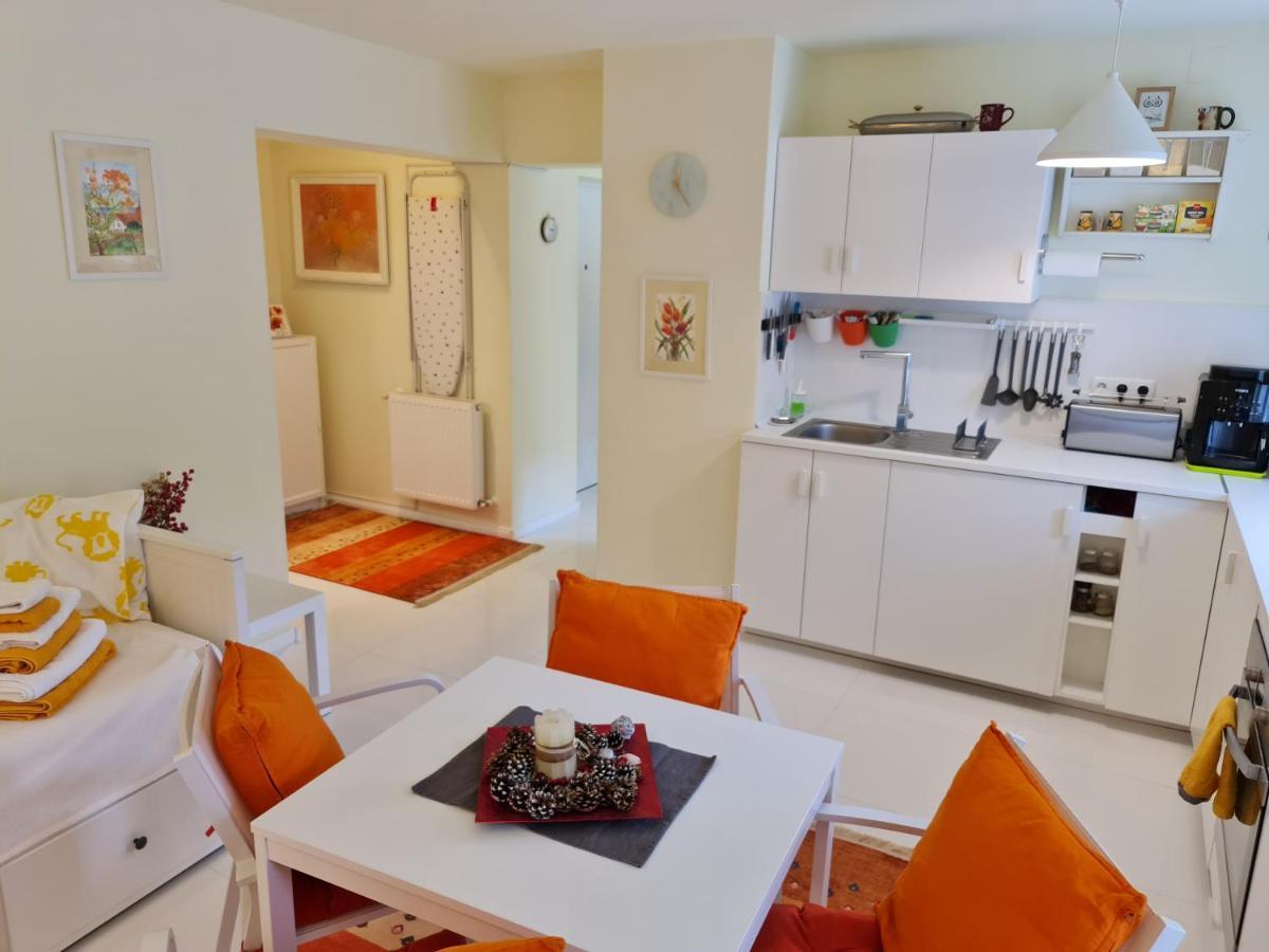 Apartamentul Alb Apartment Busteni