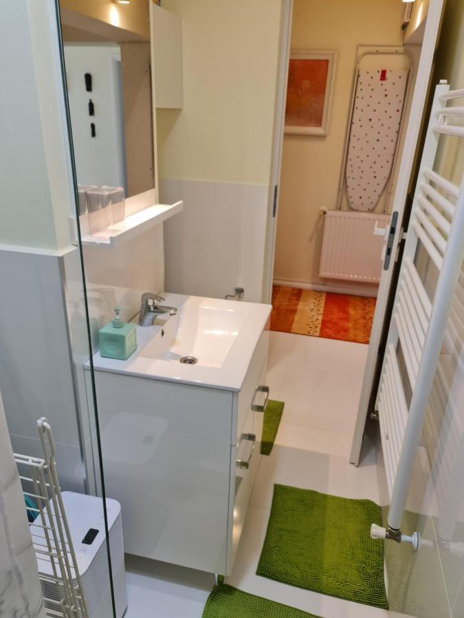 דירה Apartamentul Alb בוסטאני