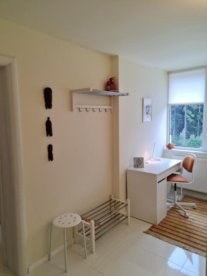Apartamentul Alb Apartment Busteni