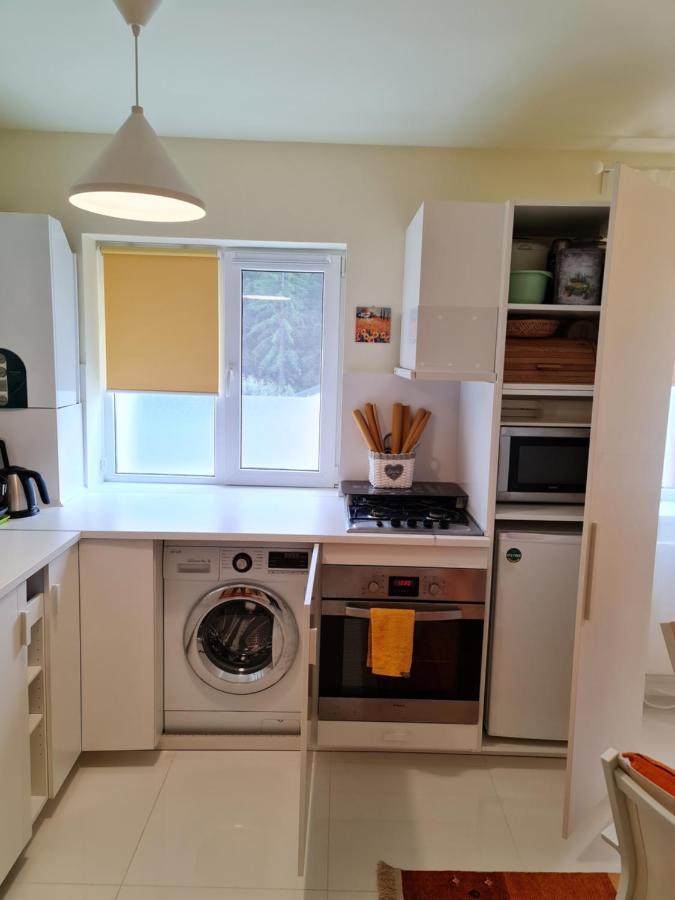 Apartamentul Alb Busteni